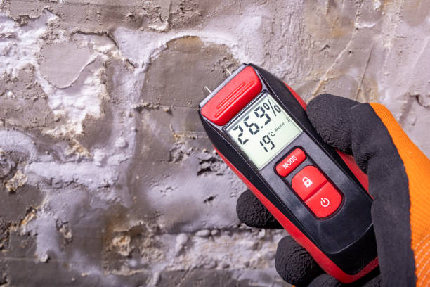 Best Post-Flood Mold Remediation in Temecula, CA